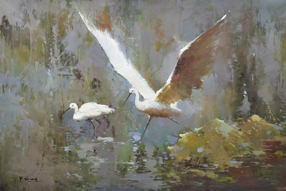 47025 two dancing egrets; 24"x36", Giclee on canvas image 0