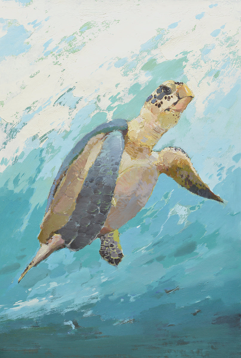 24x36 oil painting of Turtle on canvas 42071004 image 0