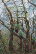 71701112 Beautiful Tropical Forest with Trees, 40"x60" Giclee on Canvas image 0