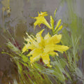 16x16 oil painting of yellow daylily flowers 22010519 image 0